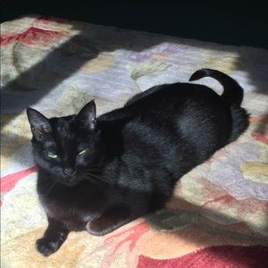 Meet your Posher, Susan